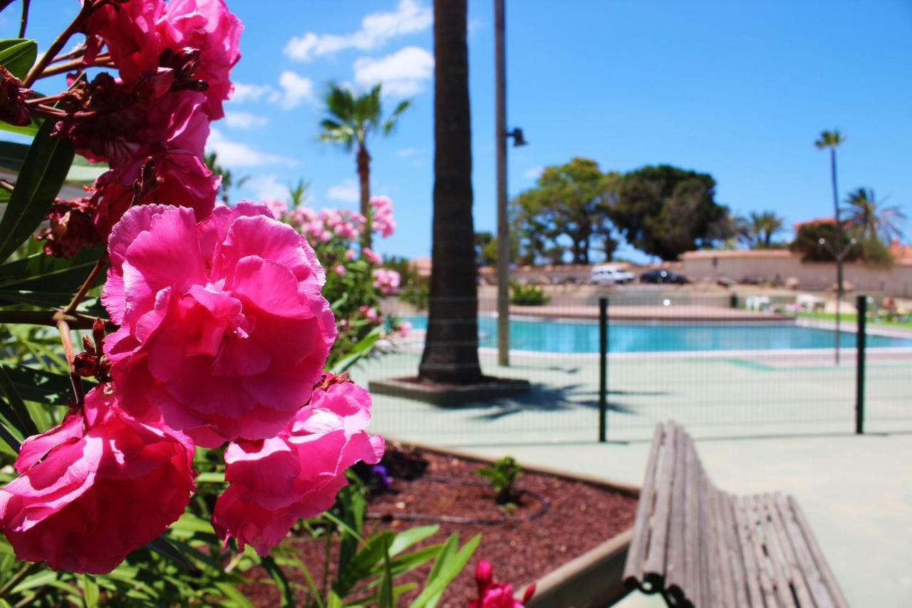 Soleado Apartamento Vistas Al Mar Los Cristianos Los Cristianos  Bagian luar foto